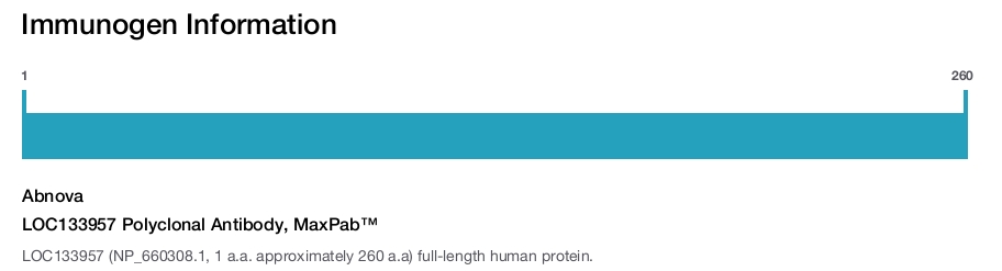 LOC133957 Polyclonal Antibody, MaxPab™