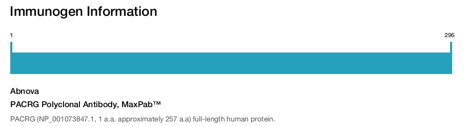 PACRG Polyclonal Antibody, MaxPab™