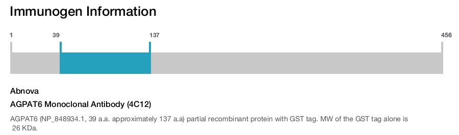AGPAT6 Monoclonal Antibody (4C12)