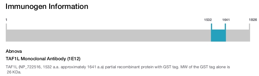 TAF1L Monoclonal Antibody (1E12)