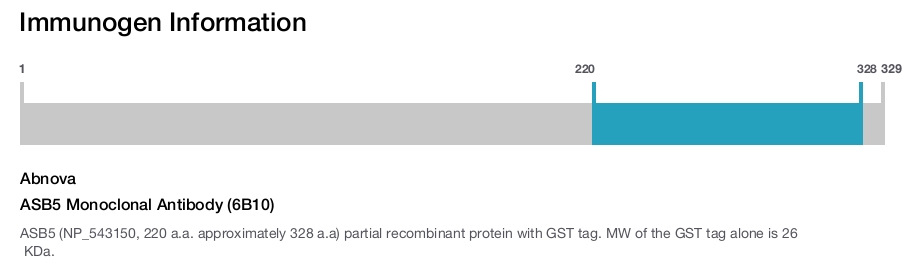 ASB5 Monoclonal Antibody (6B10)