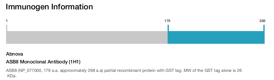 ASB8 Monoclonal Antibody (1H1)