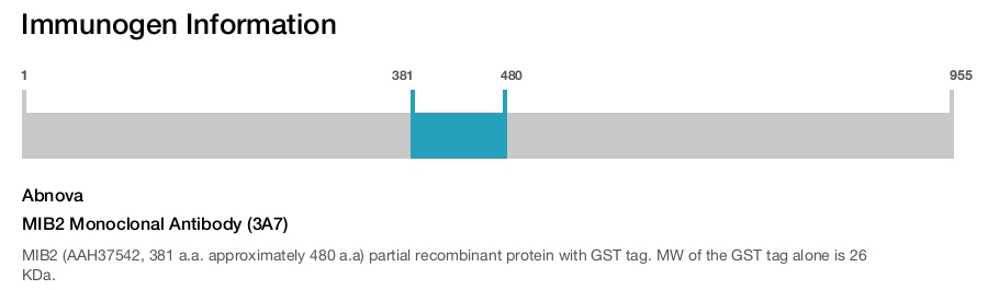 MIB2 Monoclonal Antibody (3A7)