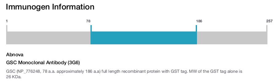 GSC Monoclonal Antibody (3G6)