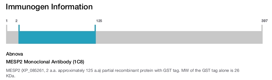 MESP2 Monoclonal Antibody (1C8)