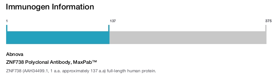 ZNF738 Polyclonal Antibody, MaxPab™