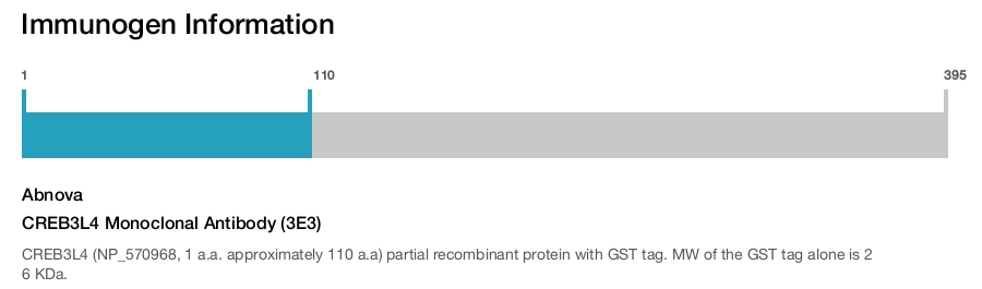 CREB3L4 Monoclonal Antibody (3E3)