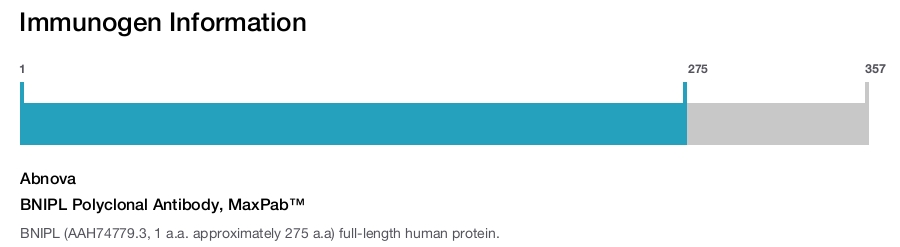 BNIPL Polyclonal Antibody, MaxPab™