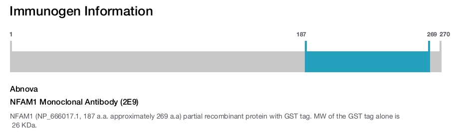 NFAM1 Monoclonal Antibody (2E9)