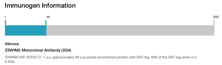 ZSWIM2 Monoclonal Antibody (2G4)