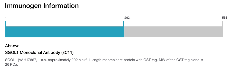 SGOL1 Monoclonal Antibody (3C11)