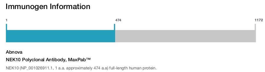 NEK10 Polyclonal Antibody, MaxPab&trade;