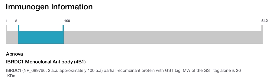 IBRDC1 Monoclonal Antibody (4B1)