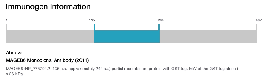 MAGEB6 Monoclonal Antibody (2C11)