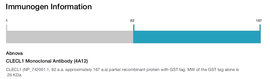 CLECL1 Monoclonal Antibody (4A12)