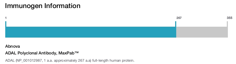 ADAL Polyclonal Antibody, MaxPab™