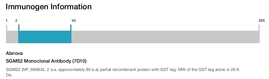SGMS2 Monoclonal Antibody (7D10)
