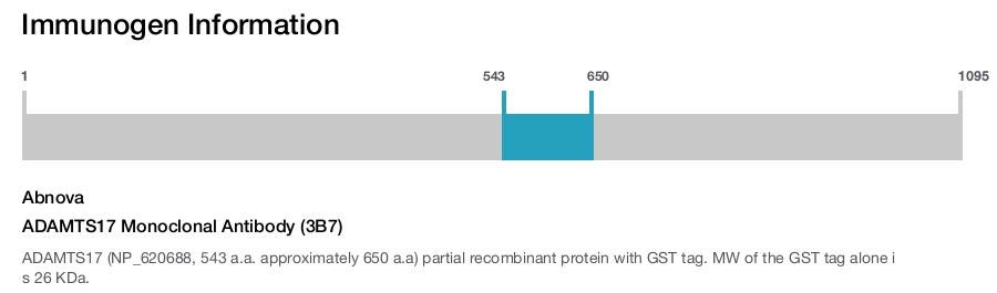 ADAMTS17 Monoclonal Antibody (3B7)