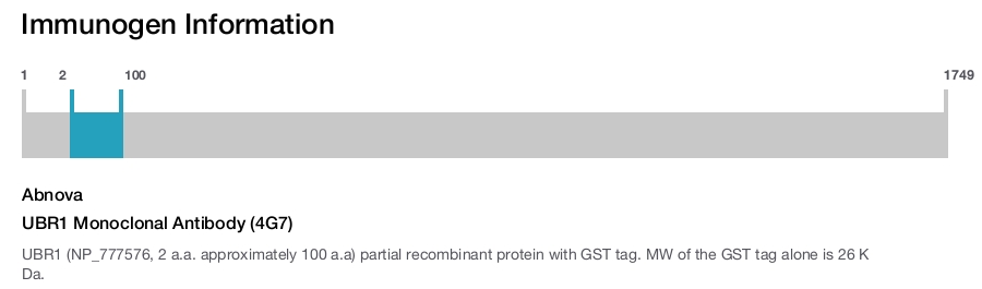 UBR1 Monoclonal Antibody (4G7)
