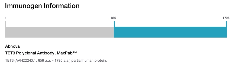 TET3 Polyclonal Antibody, MaxPab™