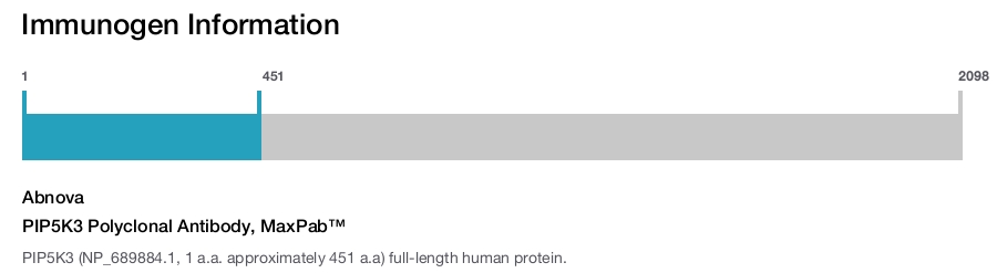 PIP5K3 Polyclonal Antibody, MaxPab™