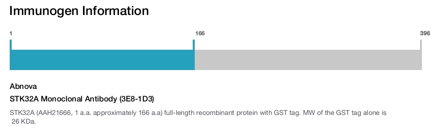 STK32A Monoclonal Antibody (3E8-1D3)