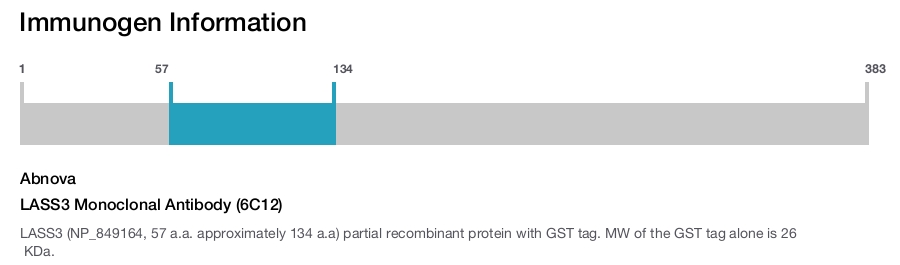 LASS3 Monoclonal Antibody (6C12)