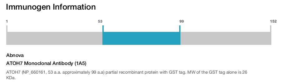 ATOH7 Monoclonal Antibody (1A5)