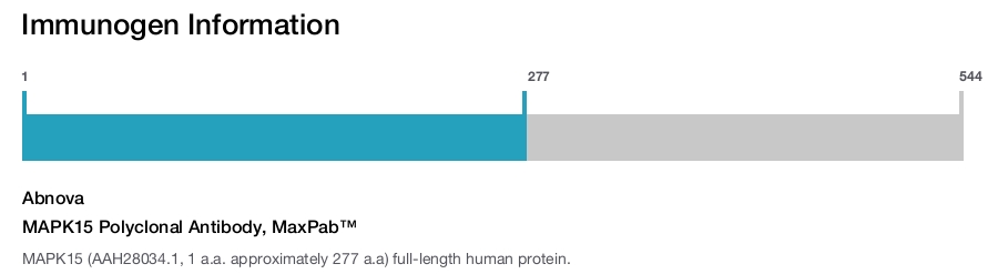 MAPK15 Polyclonal Antibody, MaxPab™