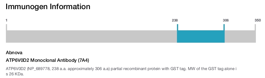 ATP6V0D2 Monoclonal Antibody (7A4)