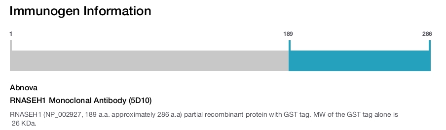 RNASEH1 Monoclonal Antibody (5D10)