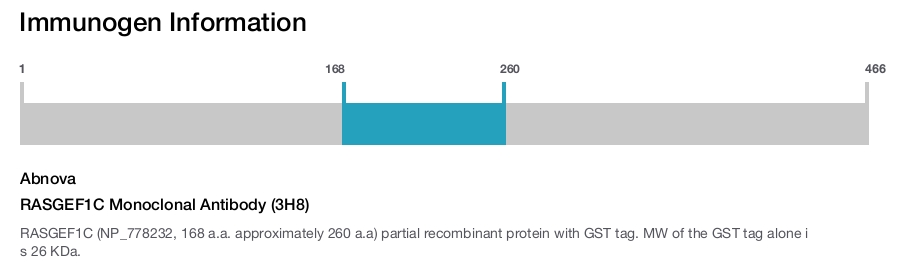 RASGEF1C Monoclonal Antibody (3H8)