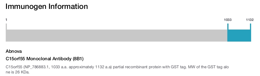 C15orf55 Monoclonal Antibody (8B1)