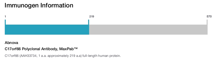 C17orf66 Polyclonal Antibody, MaxPab™