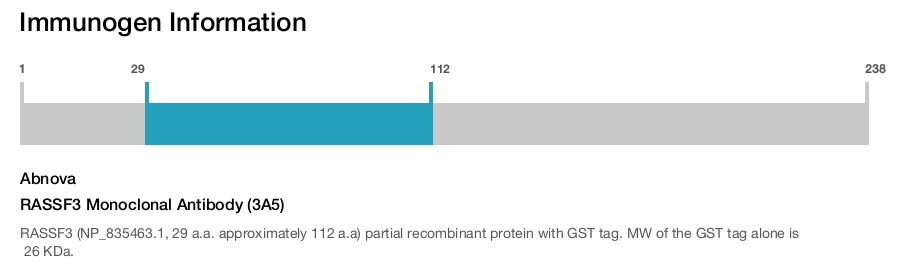 RASSF3 Monoclonal Antibody (3A5)