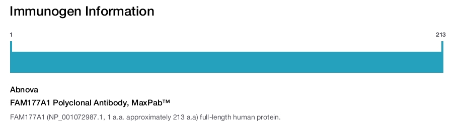 FAM177A1 Polyclonal Antibody, MaxPab™