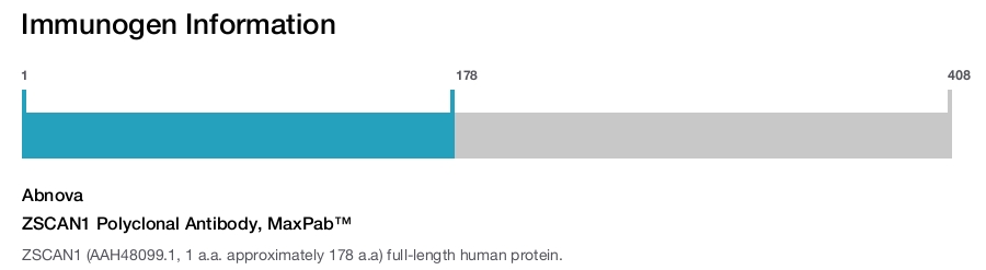 ZSCAN1 Polyclonal Antibody, MaxPab™