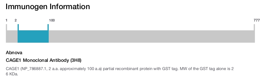 CAGE1 Monoclonal Antibody (3H8)