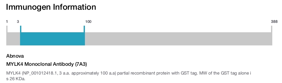 MYLK4 Monoclonal Antibody (7A3)