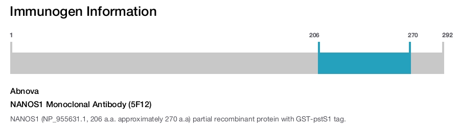 NANOS1 Monoclonal Antibody (5F12)