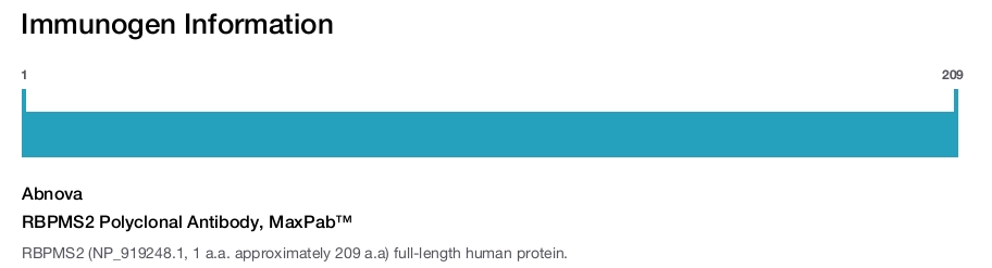 RBPMS2 Polyclonal Antibody, MaxPab™
