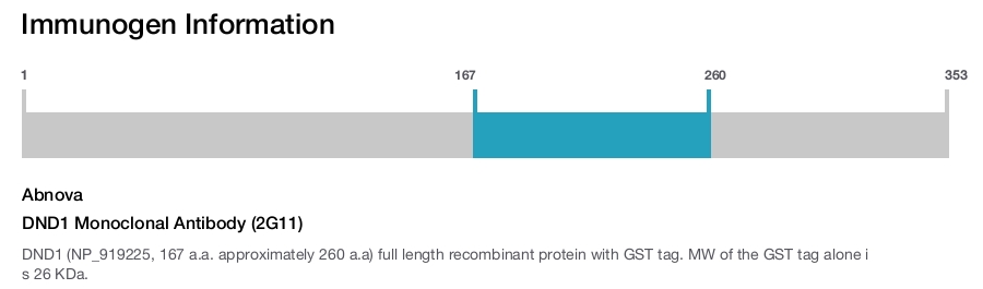 DND1 Monoclonal Antibody (2G11)