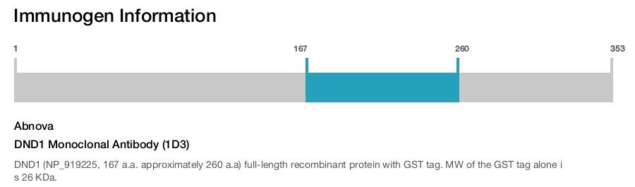 DND1 Monoclonal Antibody (1D3)