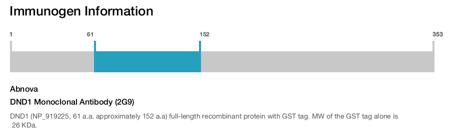 DND1 Monoclonal Antibody (2G9)