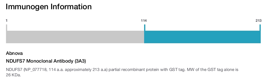 NDUFS7 Monoclonal Antibody (3A3)