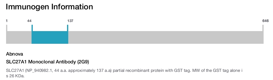 SLC27A1 Monoclonal Antibody (2G9)