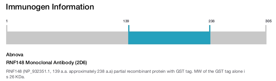 RNF148 Monoclonal Antibody (2D6)