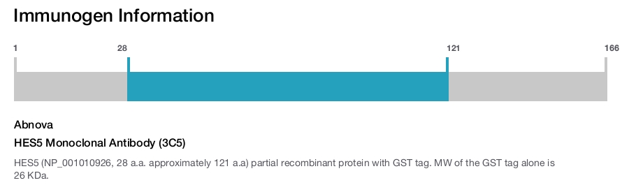 HES5 Monoclonal Antibody (3C5)