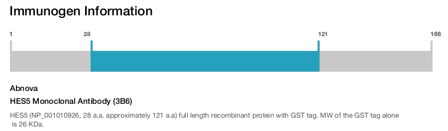 HES5 Monoclonal Antibody (3B6)