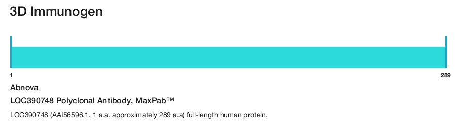 LOC390748 Polyclonal Antibody, MaxPab&trade;
